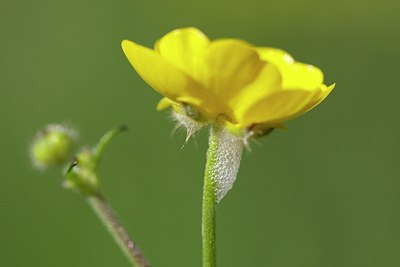 BUITEN BEELD Foto: 168493