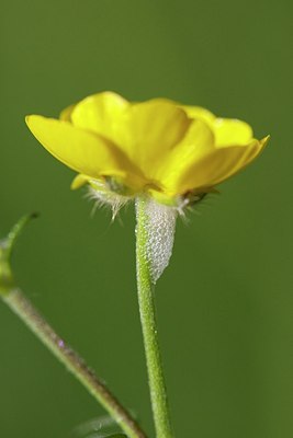 BUITEN BEELD Foto: 168496