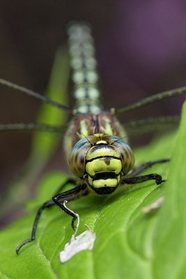 BUITEN BEELD Foto: 168528