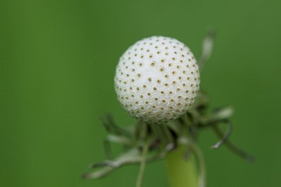 BUITEN BEELD Foto: 168531