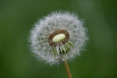 BUITEN BEELD Foto: 168535