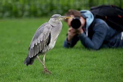 BUITEN BEELD Foto: 168552