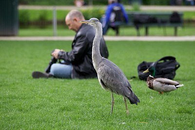 BUITEN BEELD Foto: 168556
