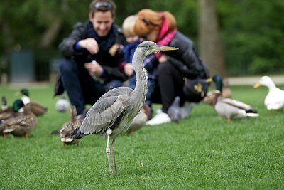 BUITEN BEELD Foto: 168559