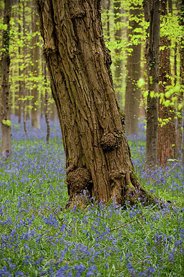 BUITEN BEELD Foto: 168560