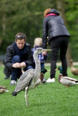 BUITEN BEELD Foto: 168562