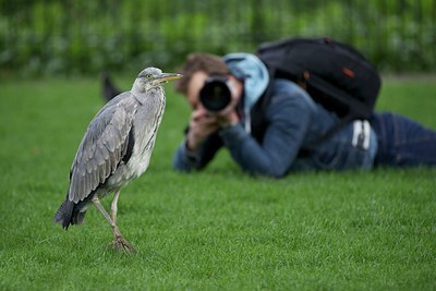 BUITEN BEELD Foto: 168565