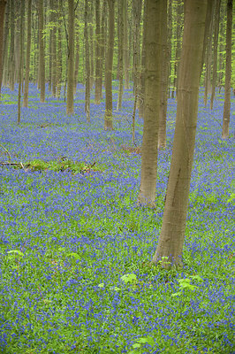 BUITEN BEELD Foto: 168571