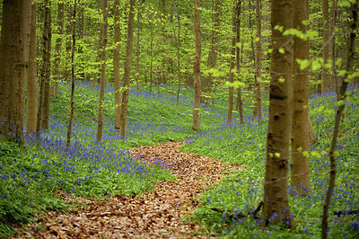 BUITEN BEELD Foto: 168574