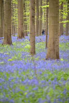 BUITEN BEELD Foto: 168577