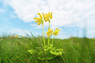 BUITEN BEELD Foto: 168596