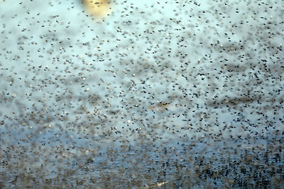 BUITEN BEELD Foto: 168625