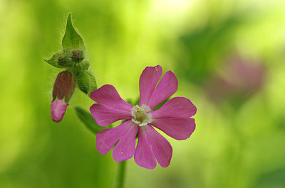 BUITEN BEELD Foto: 168633