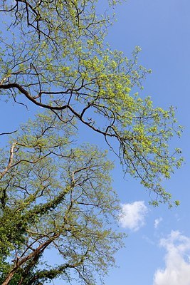 BUITEN BEELD Foto: 168659