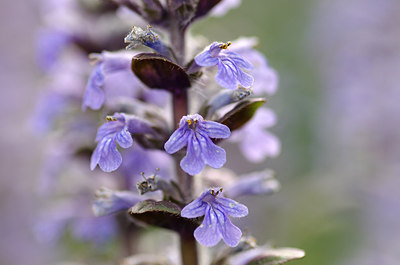 BUITEN BEELD Foto: 168663