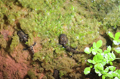 BUITEN BEELD Foto: 168667