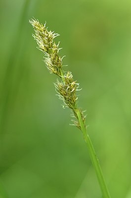 BUITEN BEELD Foto: 168673