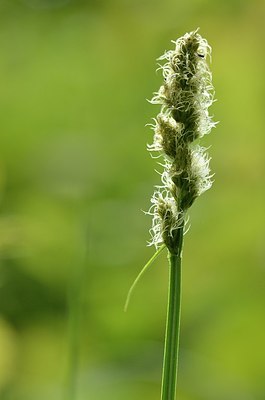 BUITEN BEELD Foto: 168678
