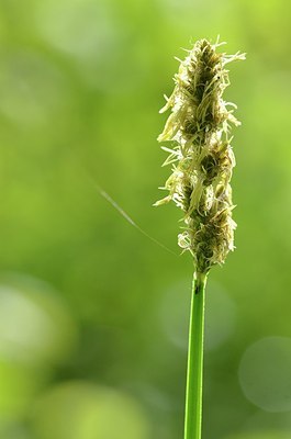 BUITEN BEELD Foto: 168680