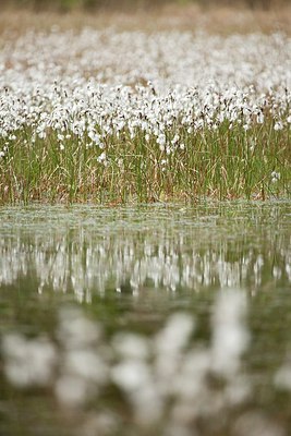 BUITEN BEELD Foto: 168734