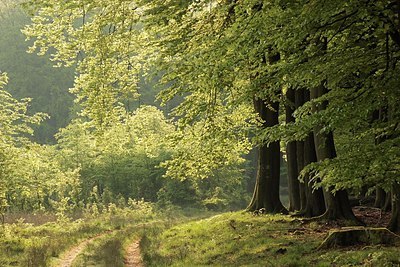 BUITEN BEELD Foto: 168758