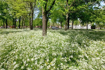 BUITEN BEELD Foto: 168768