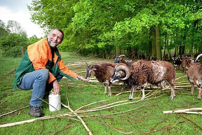 BUITEN BEELD Foto: 168772