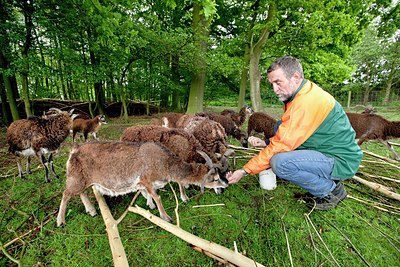 BUITEN BEELD Foto: 168774