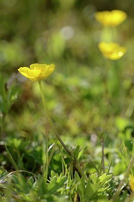 BUITEN BEELD Foto: 168781