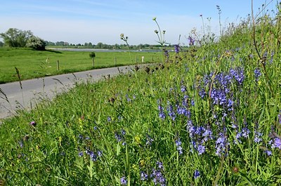 BUITEN BEELD Foto: 168801