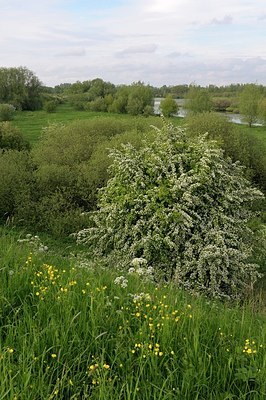 BUITEN BEELD Foto: 168806