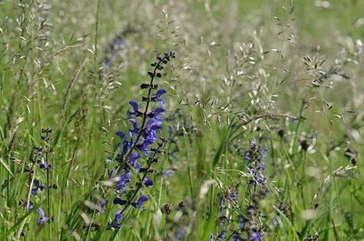 BUITEN BEELD Foto: 168810