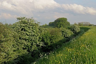 BUITEN BEELD Foto: 168835