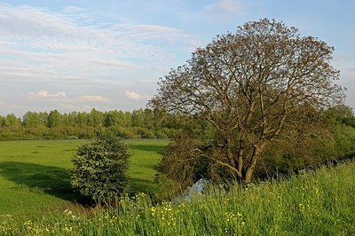 BUITEN BEELD Foto: 168838