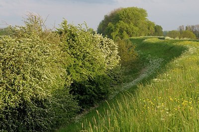 BUITEN BEELD Foto: 168842