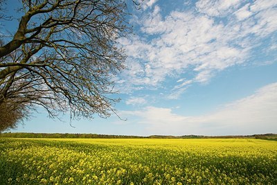 BUITEN BEELD Foto: 168853