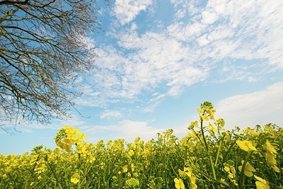 BUITEN BEELD Foto: 168854