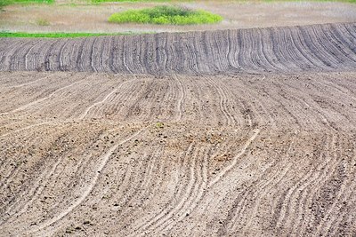 BUITEN BEELD Foto: 168860