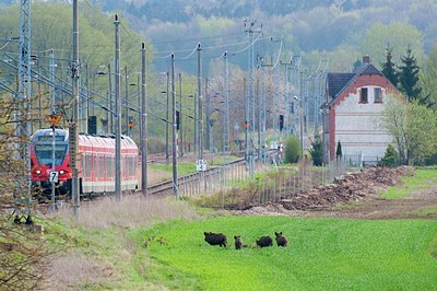 BUITEN BEELD Foto: 168866