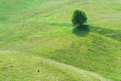 BUITEN BEELD Foto: 168879