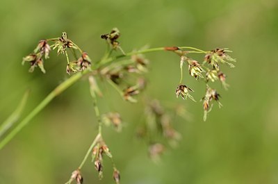 BUITEN BEELD Foto: 168892