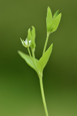 BUITEN BEELD Foto: 168899