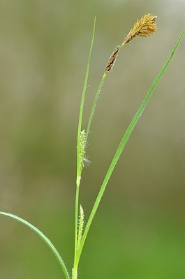 BUITEN BEELD Foto: 168900