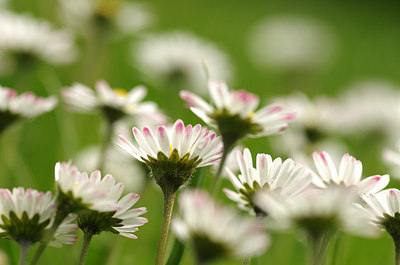 BUITEN BEELD Foto: 168905