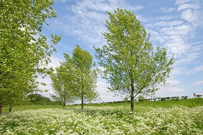 BUITEN BEELD Foto: 168912