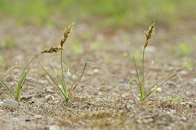 BUITEN BEELD Foto: 168915