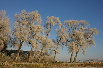 BUITEN BEELD Foto: 16001