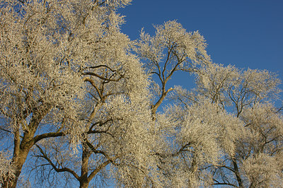 BUITEN BEELD Foto: 16009