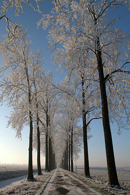 BUITEN BEELD Foto: 16019