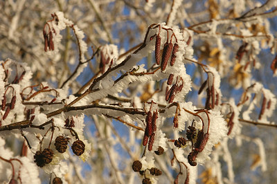 BUITEN BEELD Foto: 16023